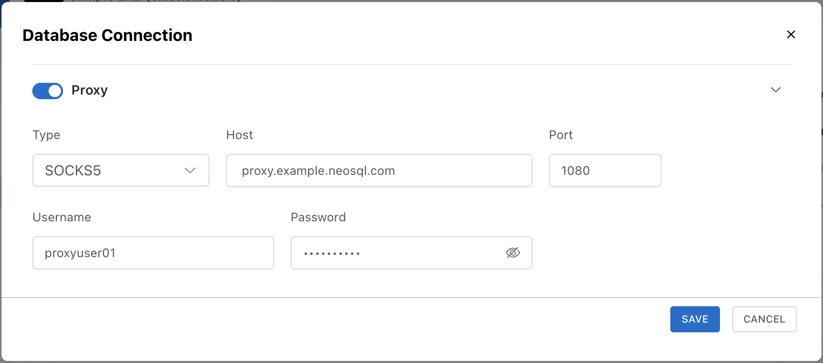 Proxy Connection