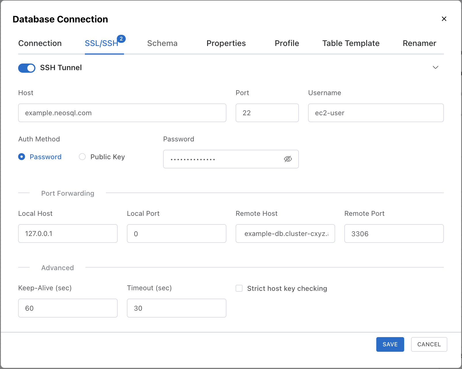 SSH Tunnel Connection
