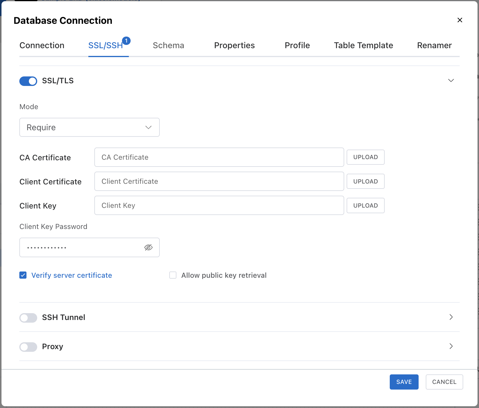 SSL/TLS Connection
