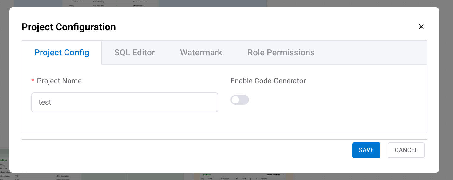 Project Settings Modal Opens